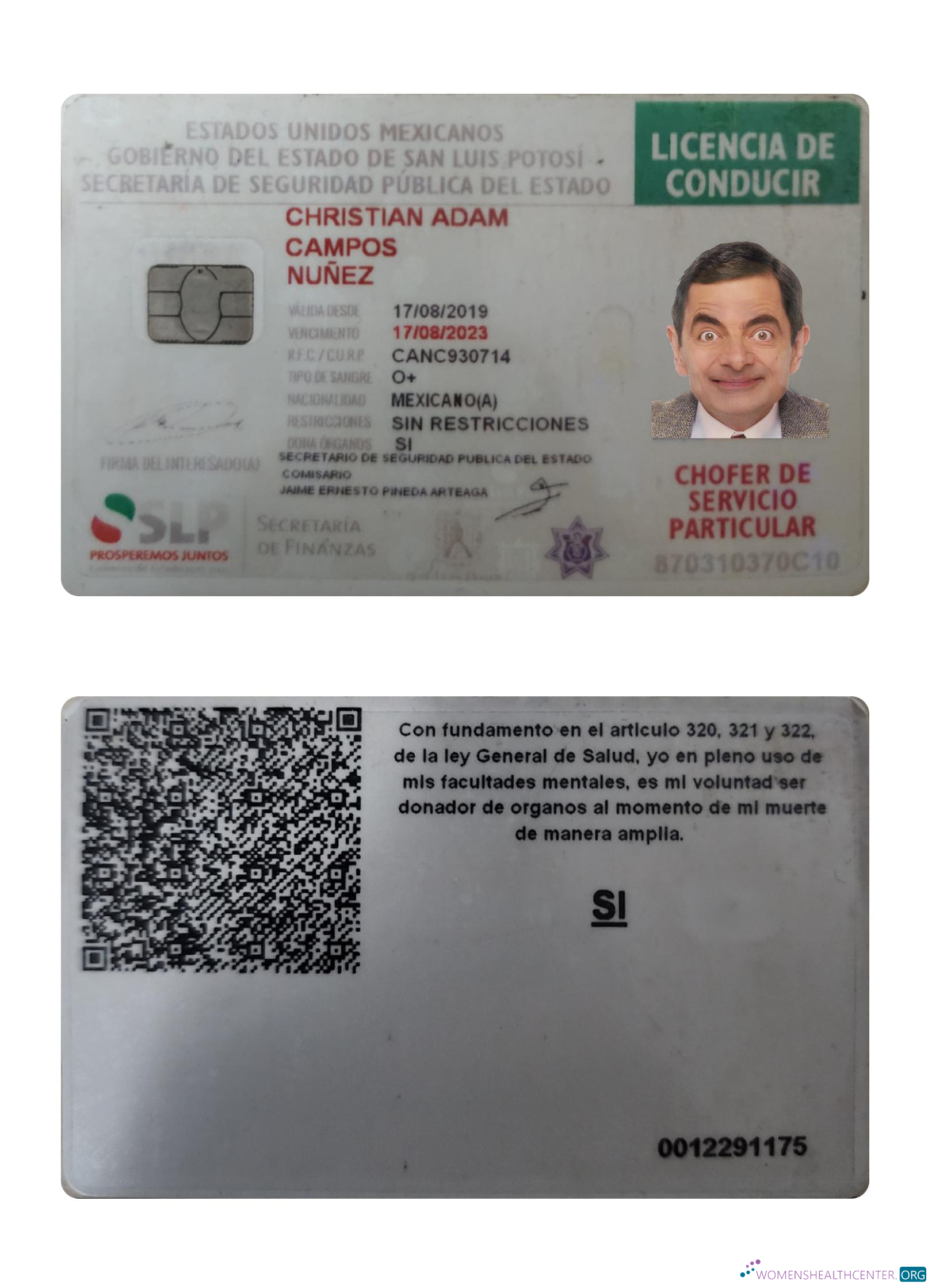 download Mexico driving license 2019 present